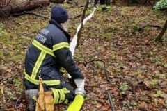 20241005 Abschnittsübung AFK Traiskirchen in Pfaffstätten Waldgebiet Bereich Rudolf Proksch-Hütte NÖ Bezirk BADEN